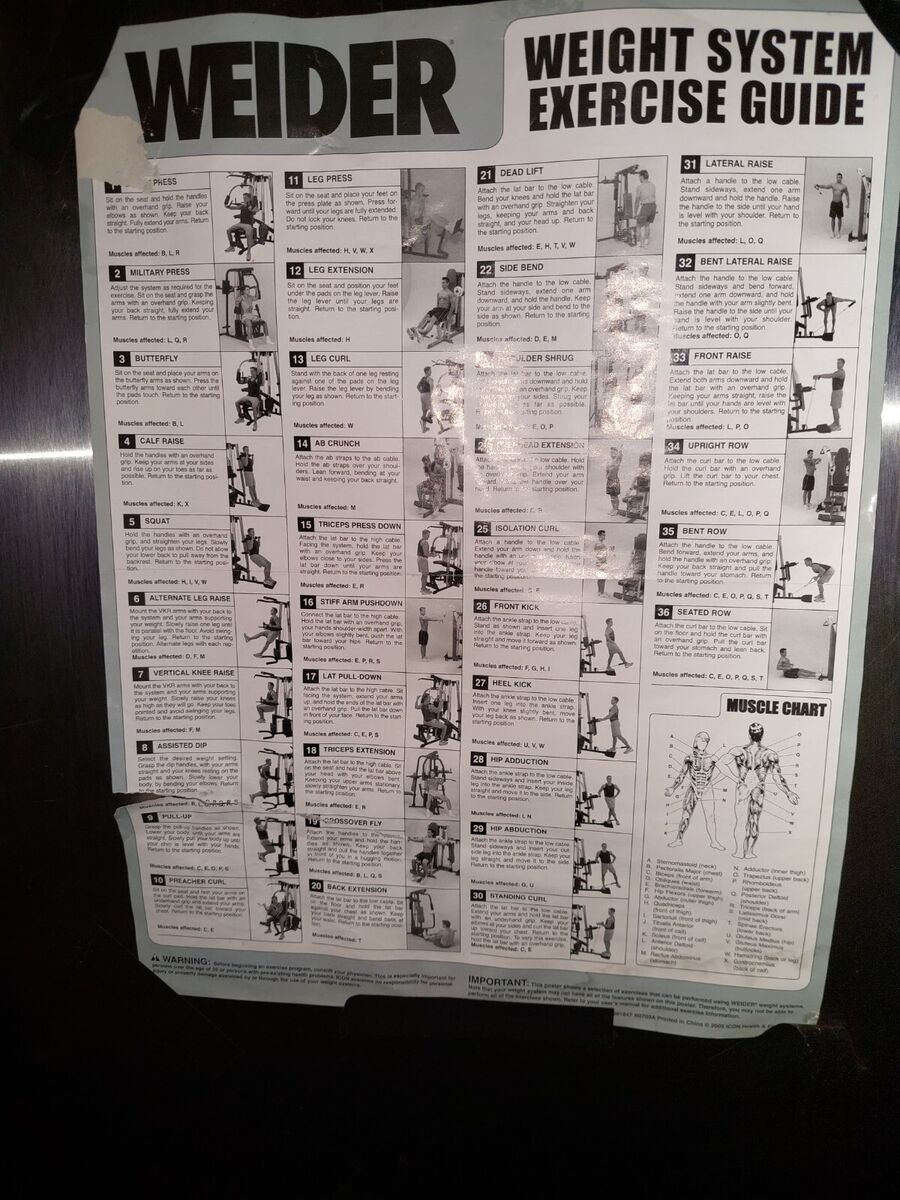 Home Gym Exercise Chart Weider Pro 9735 Weight Chart Weider 8510 Weider 8630 Exercise Chart Weider