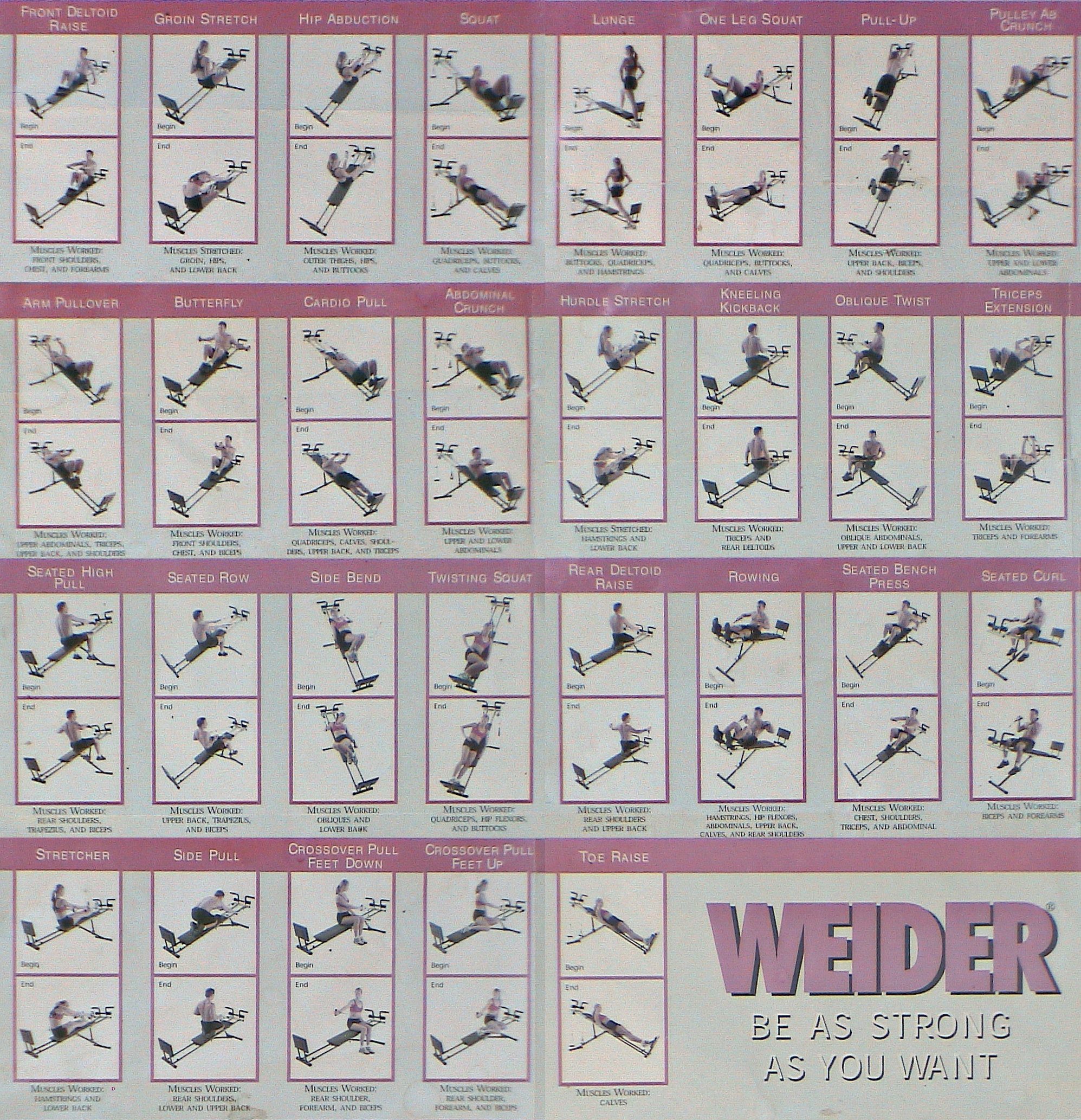 Printable Weider Exercise Chart