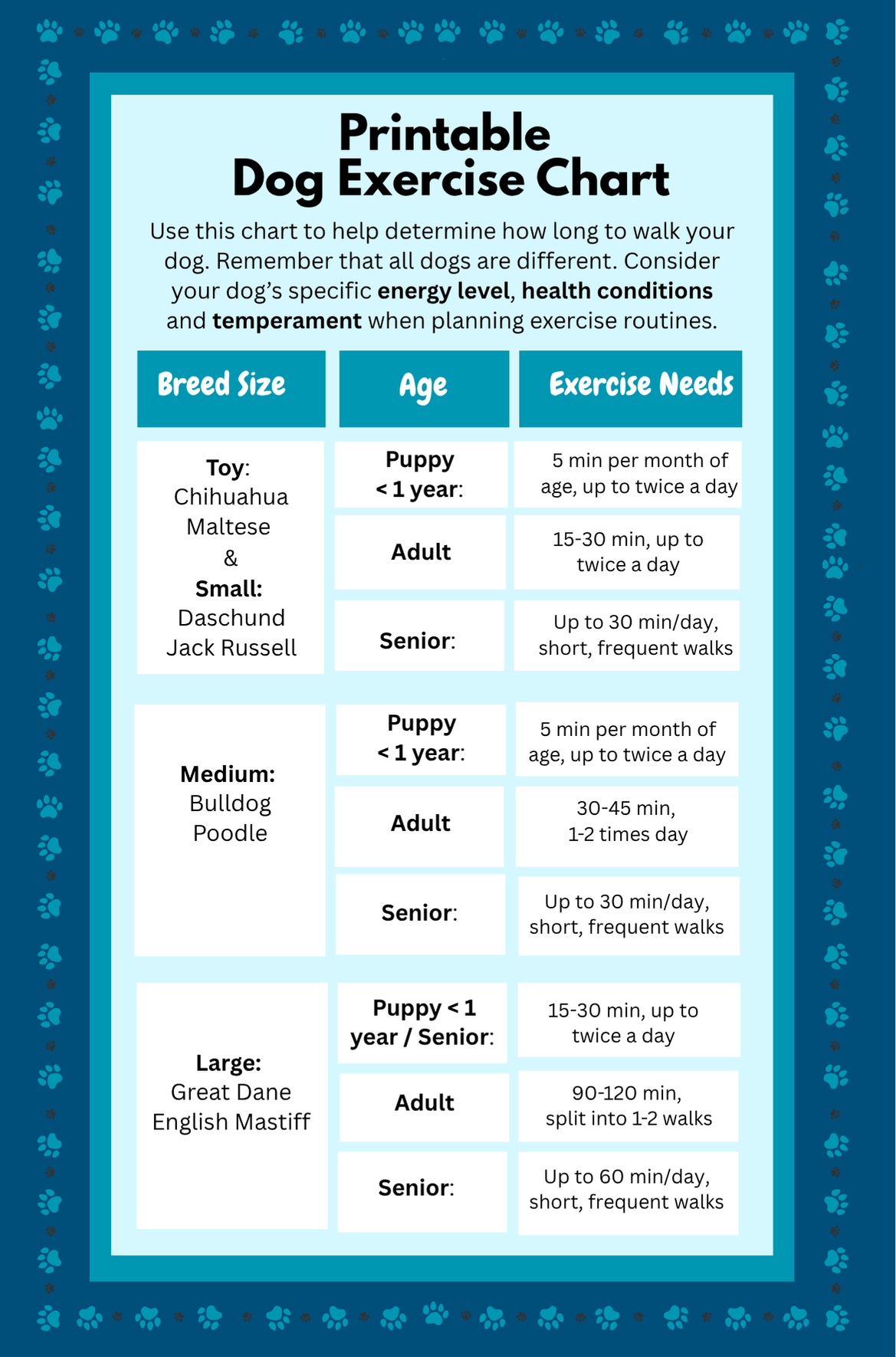 How Much Exercise Does A Dog Need PetLabCo 