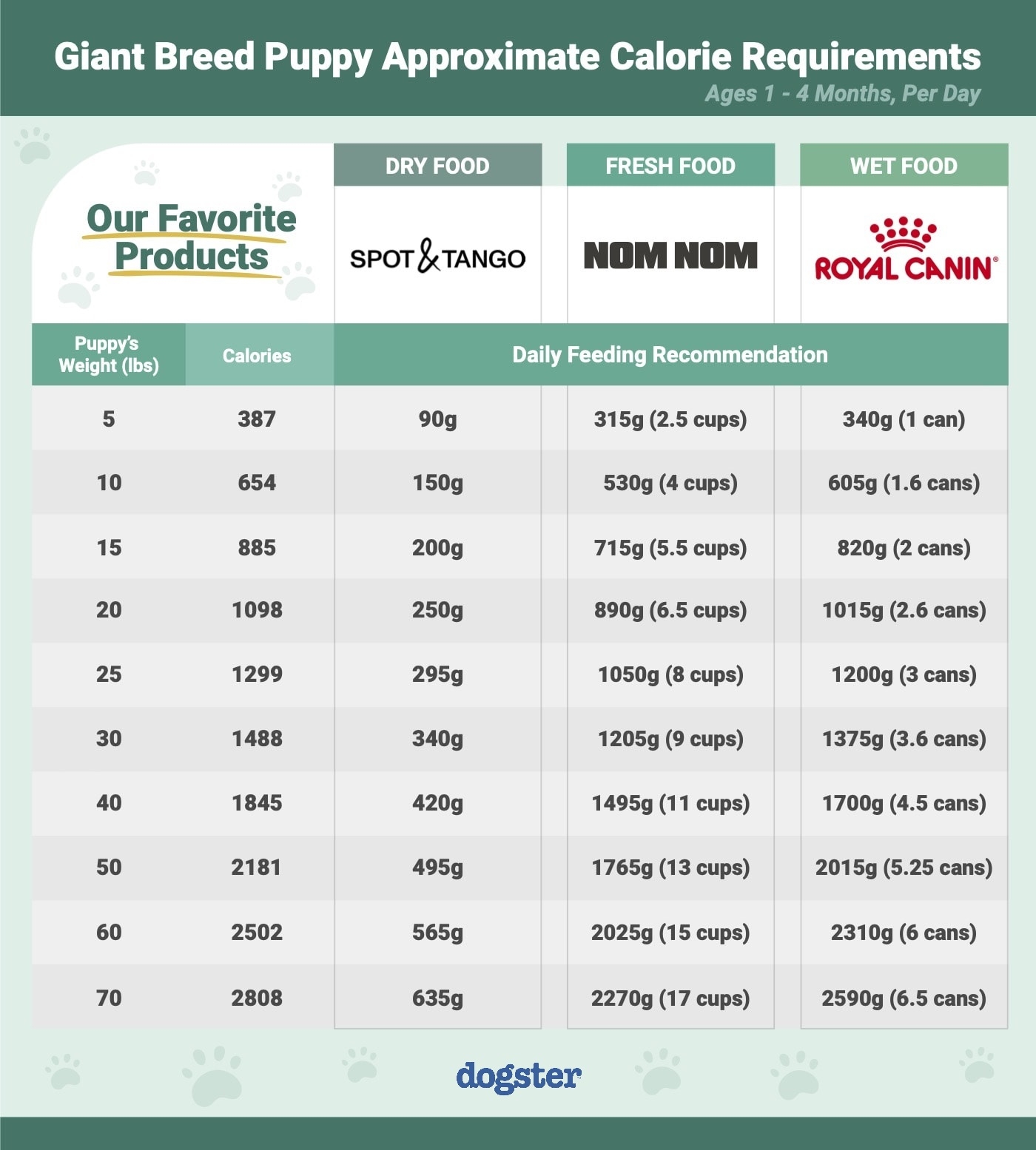 How Much Food Does A Great Dane Need With Feeding Chart Dogster