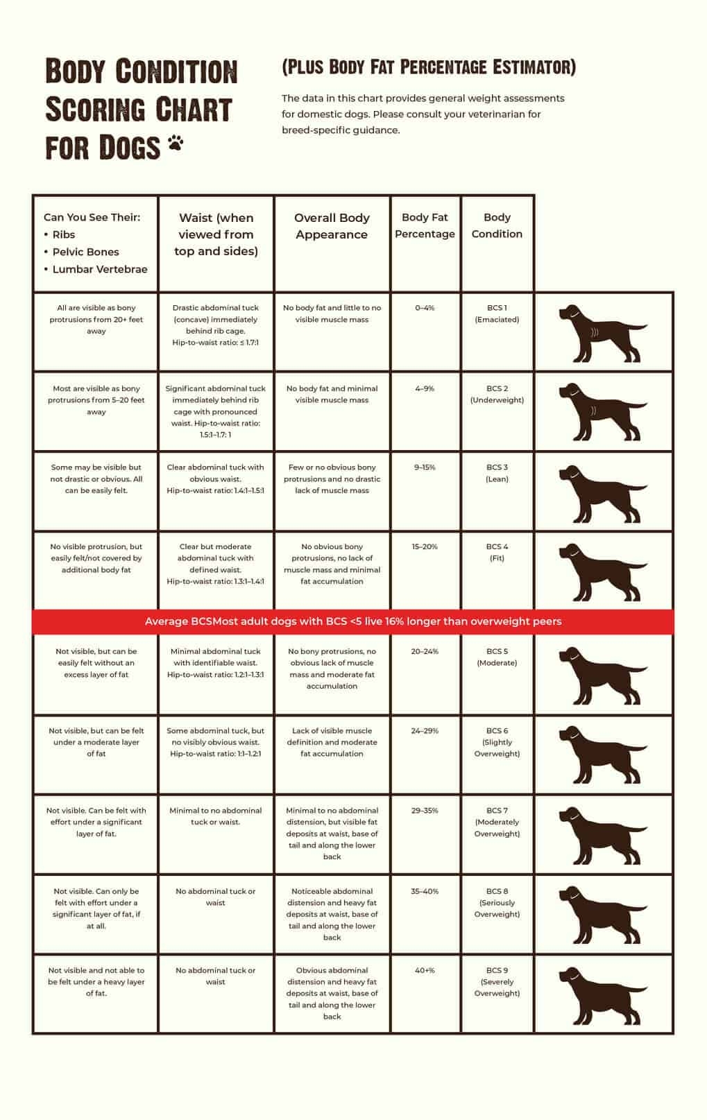 How Much Should You Feed Your Dog Canine BCS Chart More RAWZ How Much Should You Feed Your Dog Canine BCS Chart More RAWZ