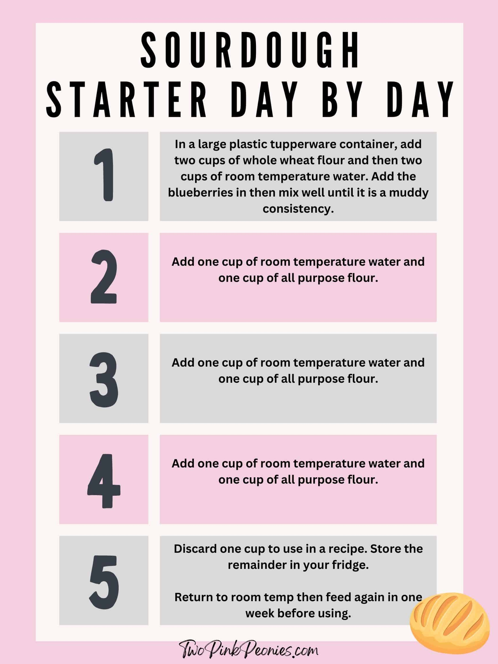 How To Make Sourdough Starter With Blueberries