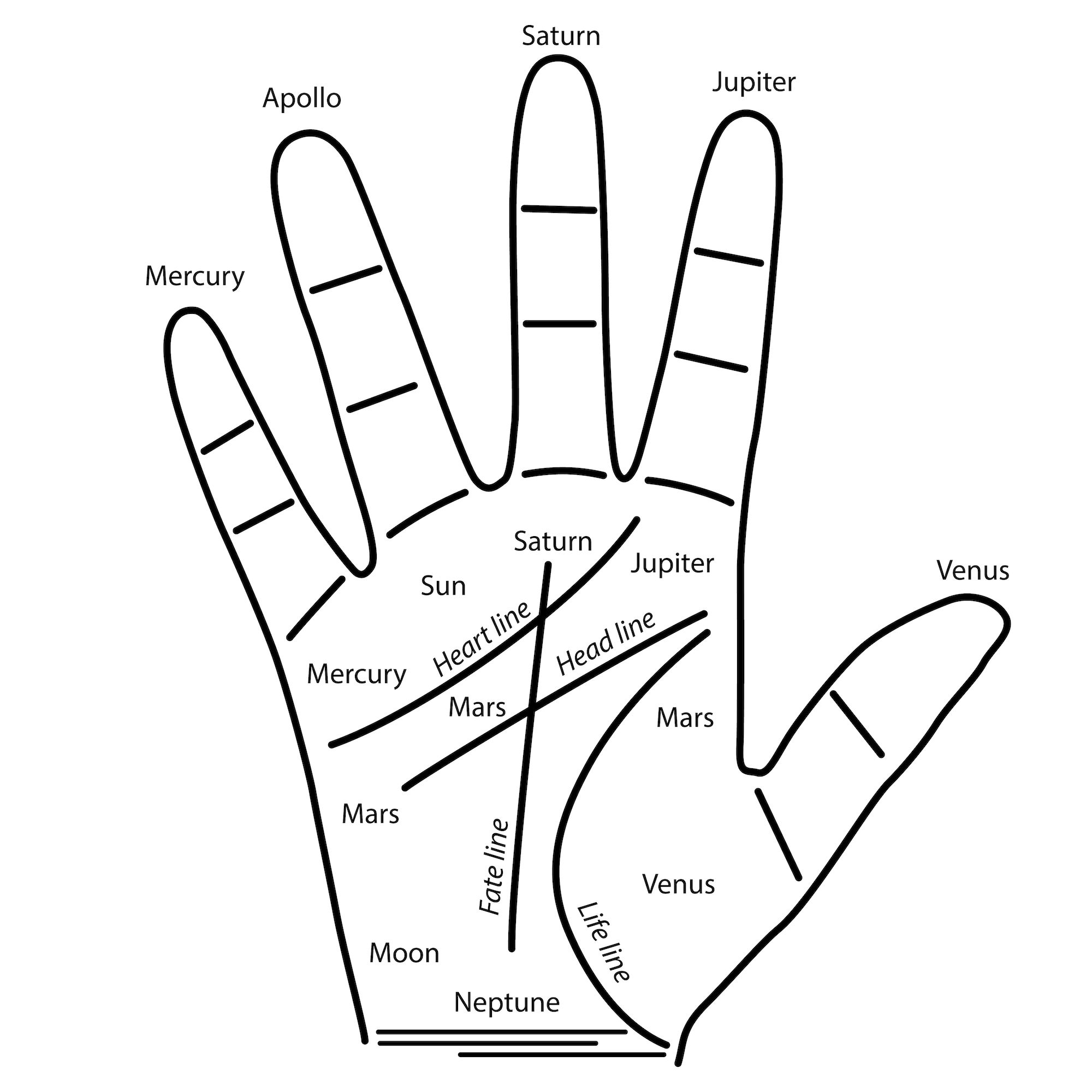 Printable Palm Reading Chart