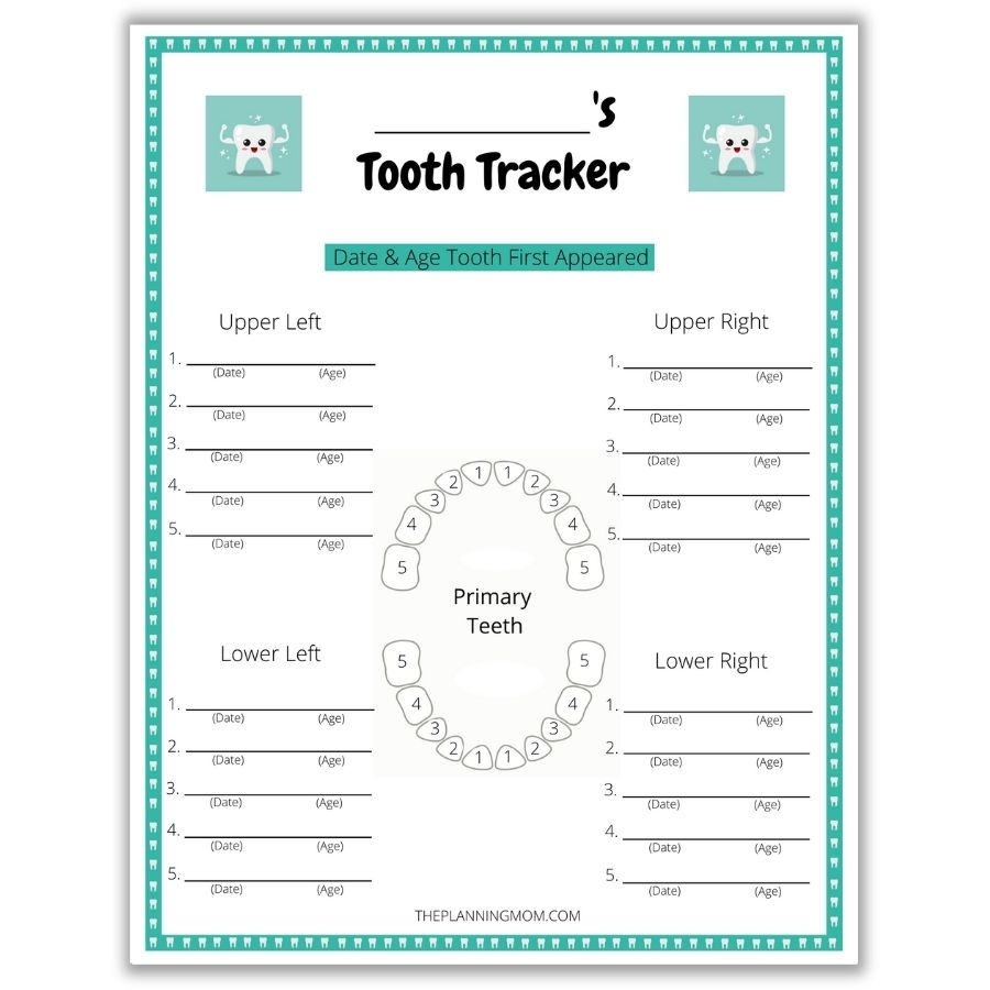 How To Track Your Child s Teeth The Planning Mom How To Track Your Child s Teeth The Planning Mom
