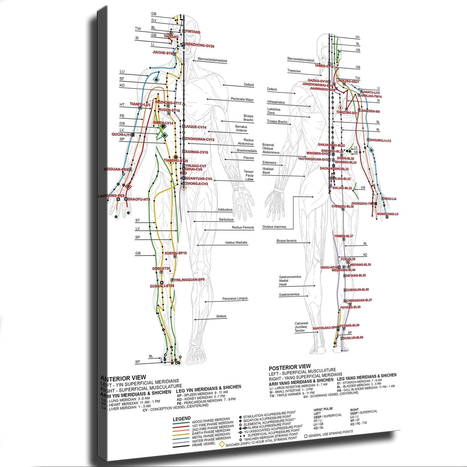 Human Body Standard Meridian Acupuncture Massage Acupoint Chart Poster Canvas Print Wall Art Modern Classroom Kitchen Bedroom Room Aesthetics Decoration Unframed And Framed unframed 12x18 Inch Amazon ca Home