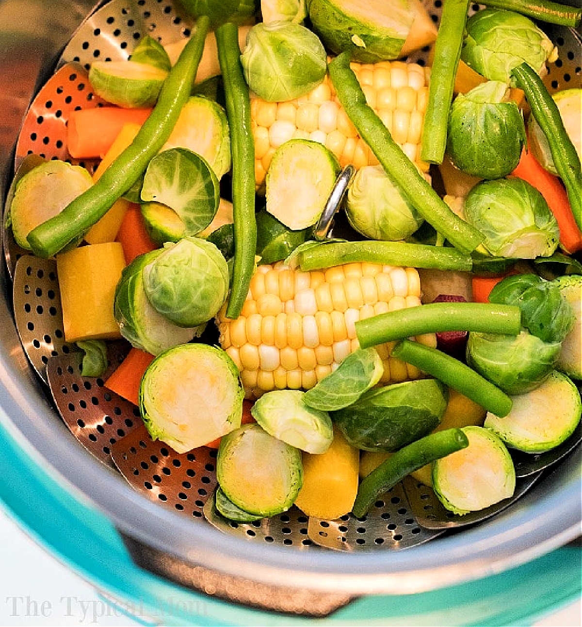 Instant Pot Steamed Vegetables Ninja Foodi Option 