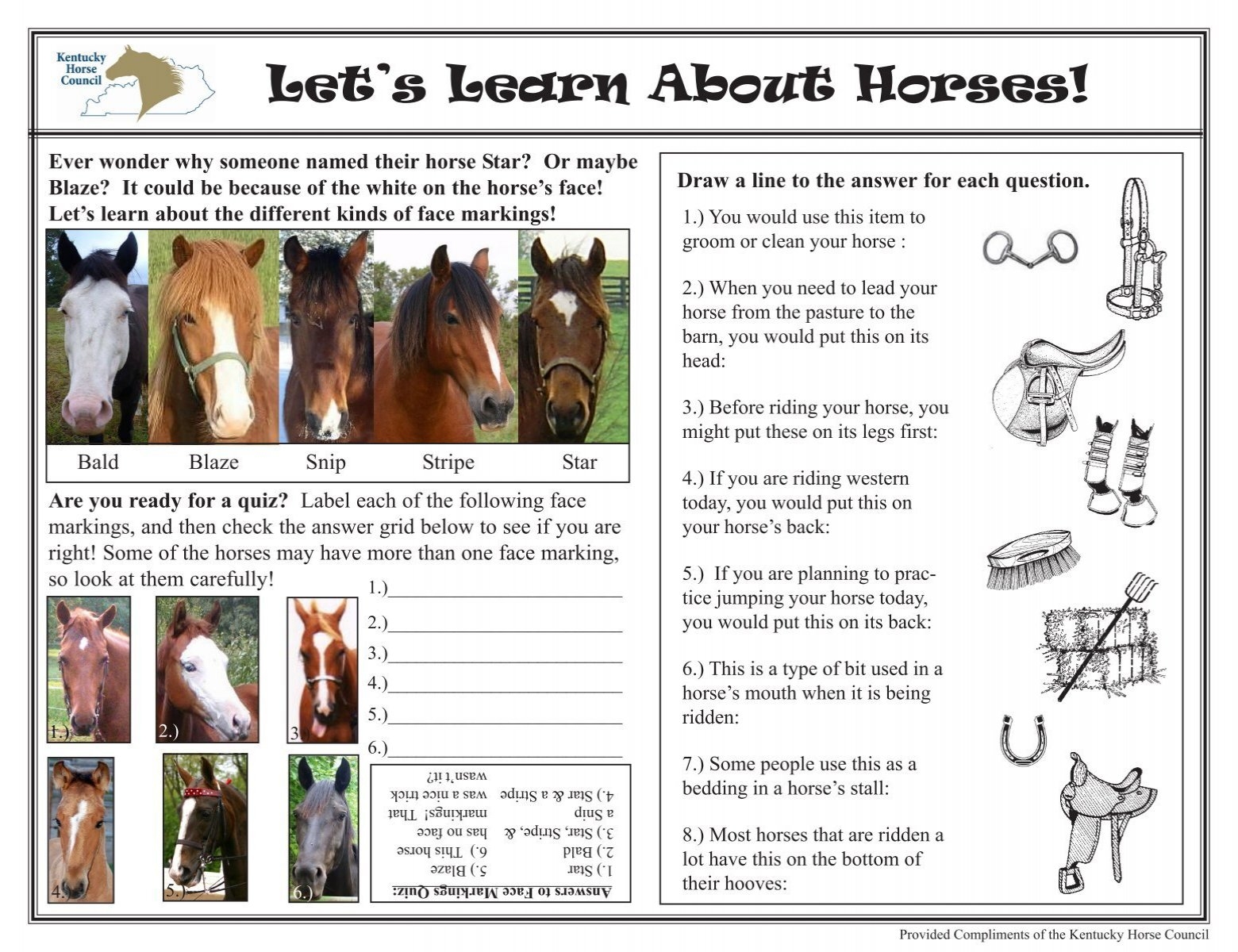 Let s Learn About Horses Activity Sheet Kentucky Horse Council Inc Let s Learn About Horses Activity Sheet Kentucky Horse Council Inc