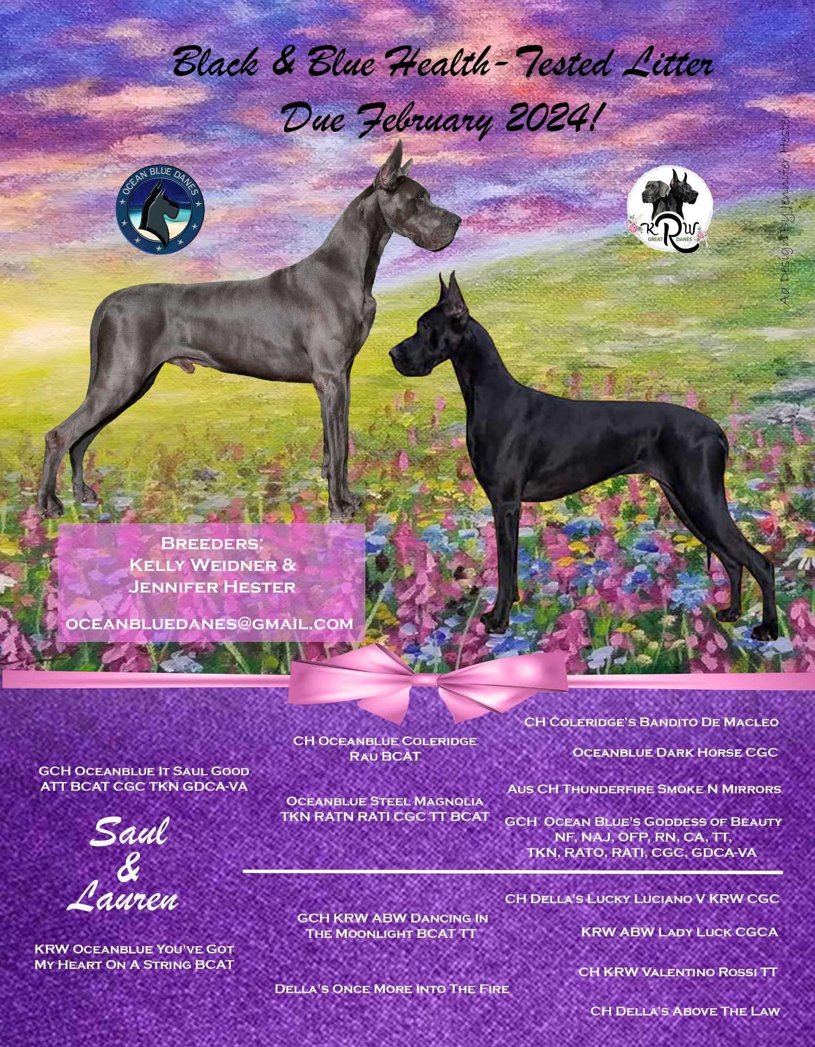 Litter What To Feed My Great Dane Puppy Growth Chart Small Great Dane Puppy Puppies Month