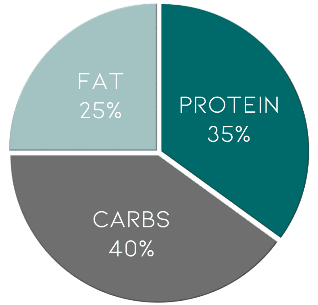 Macro Counting 101 How To Count Macros A Dash Of Macros