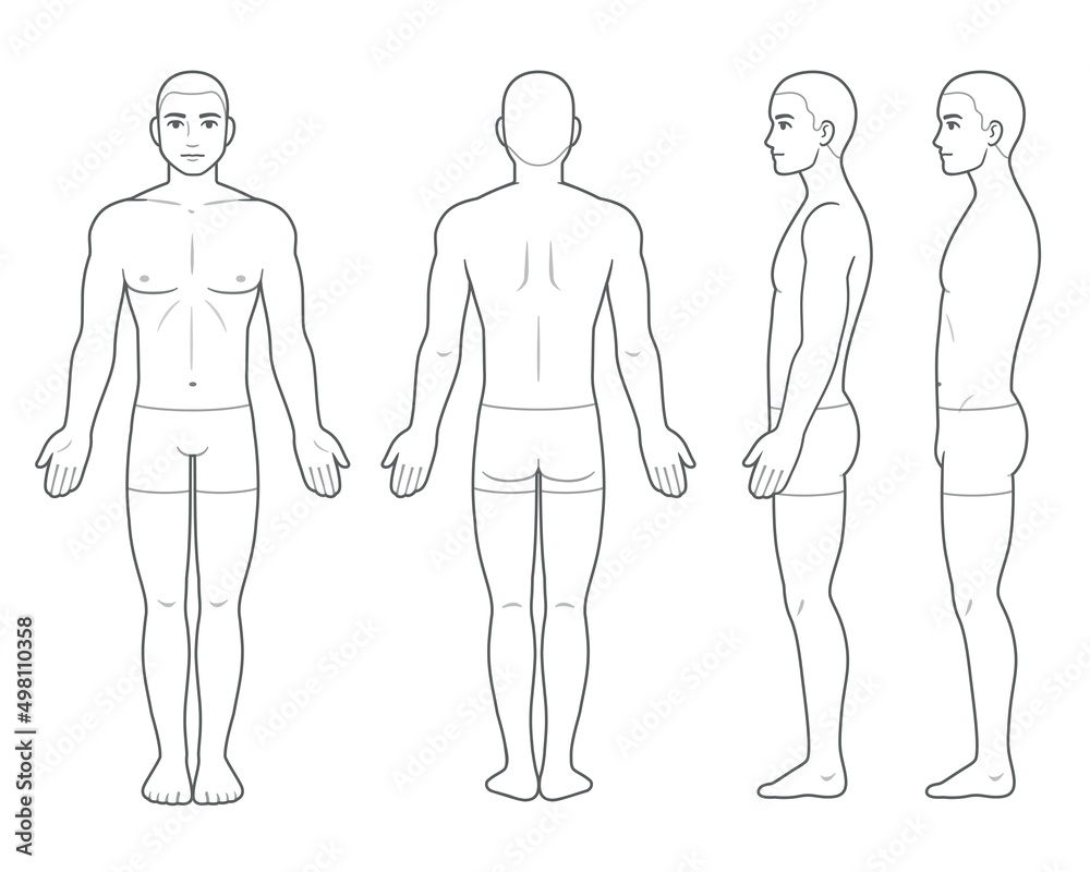 Male Body Chart Template Stock Vector Adobe Stock