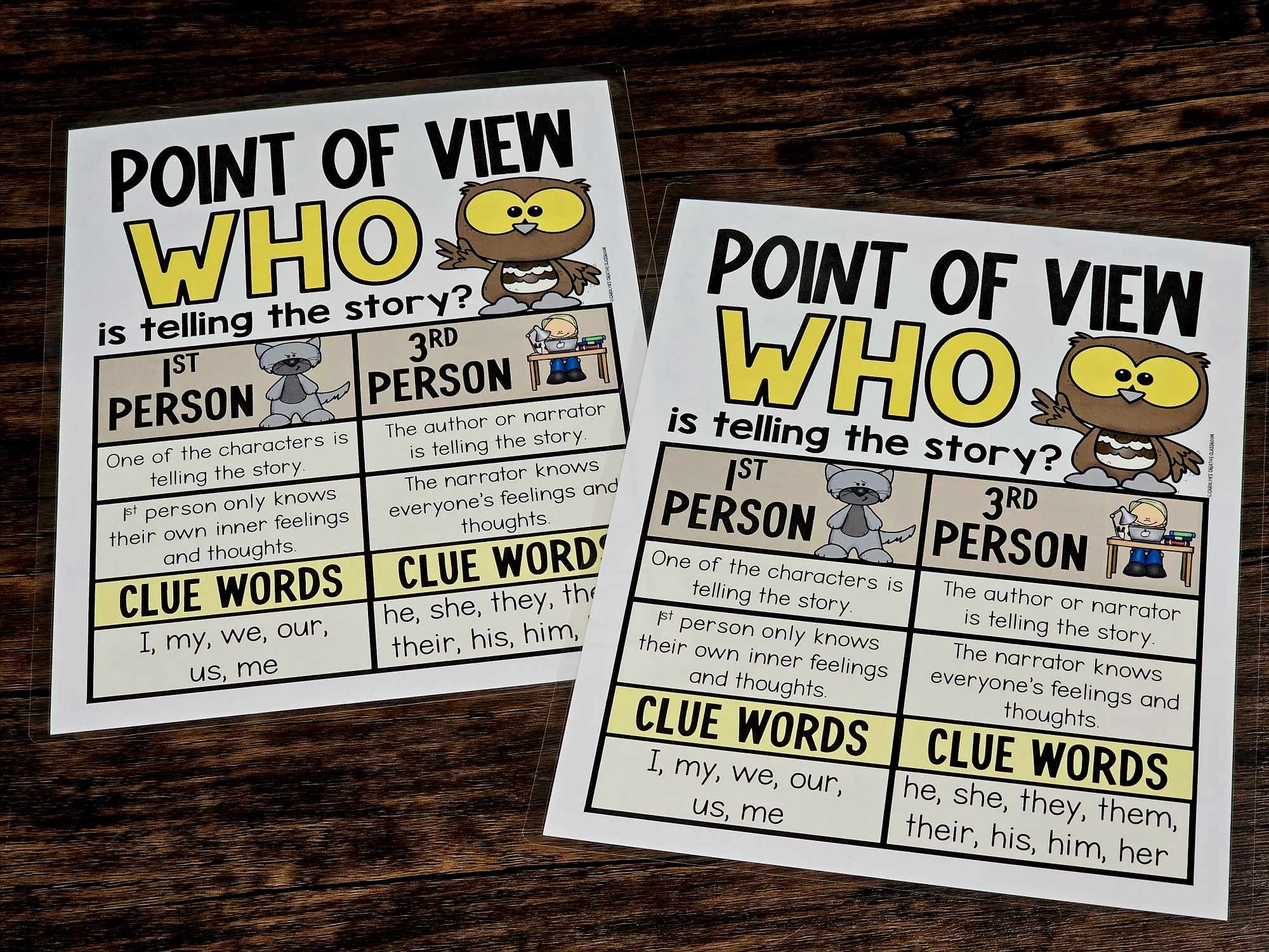 Point Of View Anchor Chart Printable