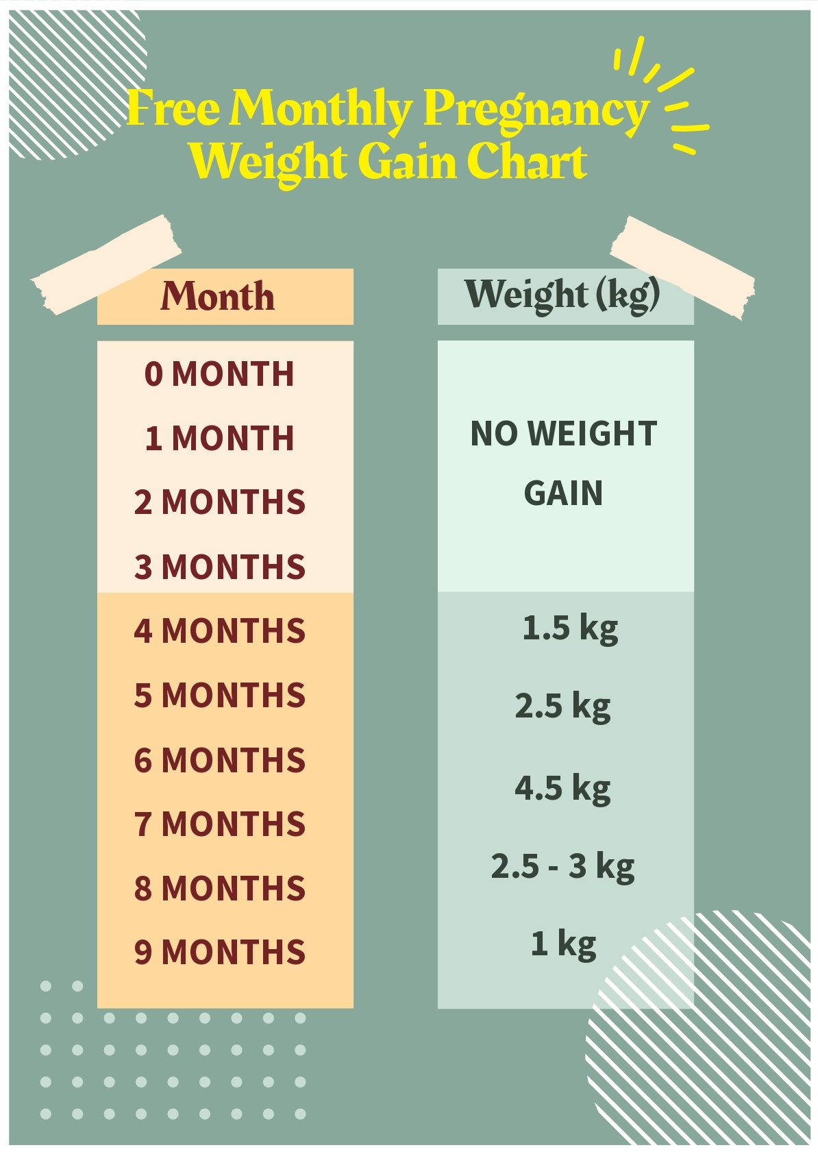 Monthly Pregnancy Weight Gain Chart In PSD Download Template