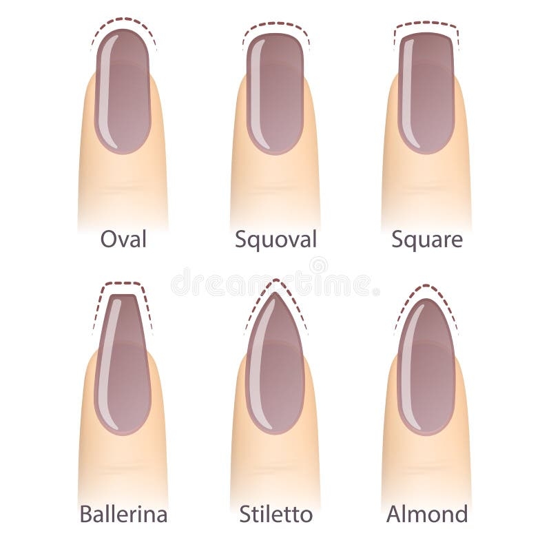 Nail Shapes Stock Illustrations 1 278 Nail Shapes Stock 