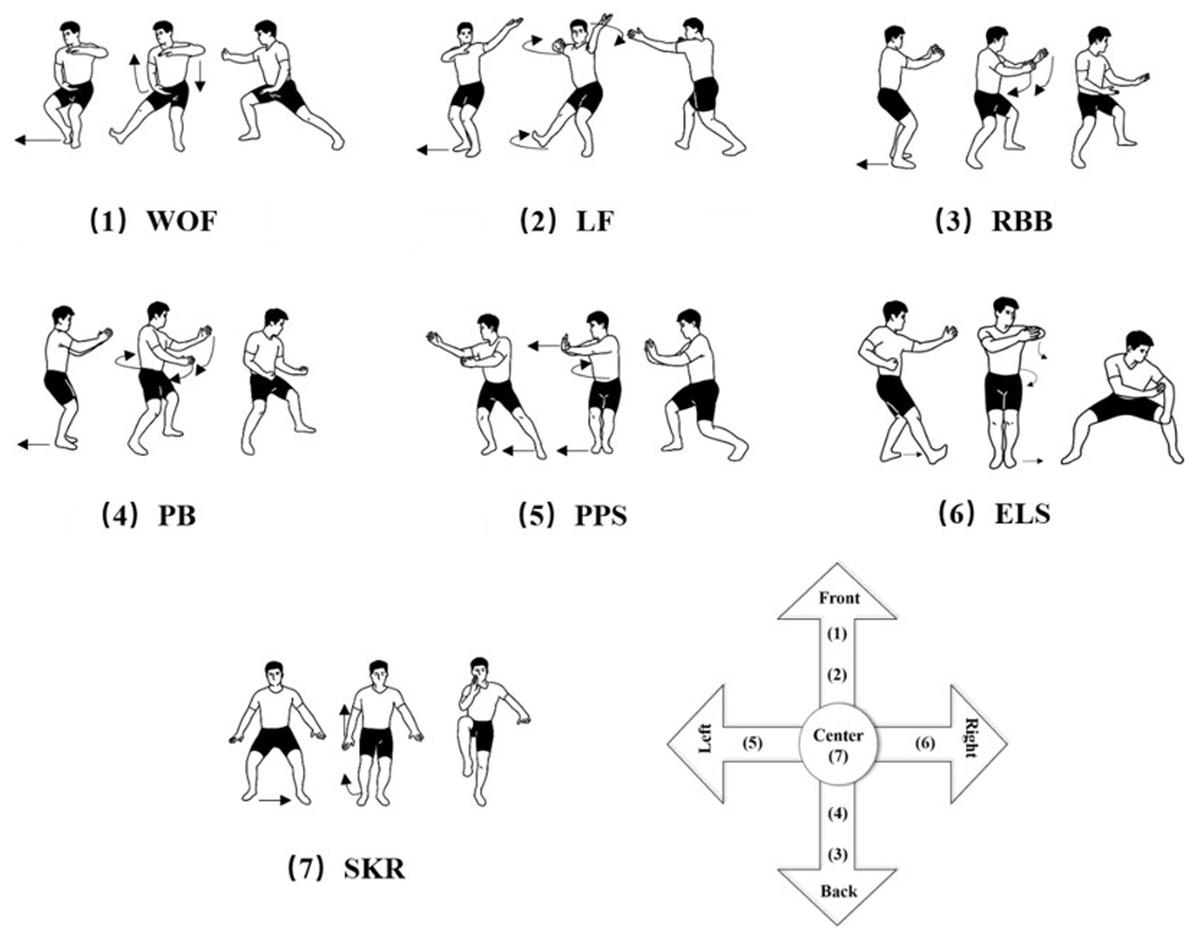 Newly Compiled Tai Chi Bafa Wubu Promotes Lower Extremity Exercise A Preliminary Cross Sectional Study PeerJ 