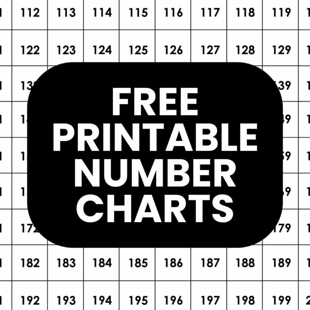 100 Chart Printable Random
