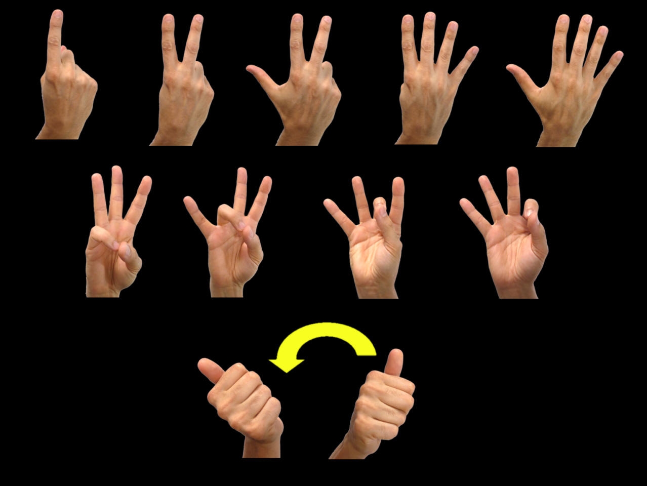 Numbers ASL American Sign Language