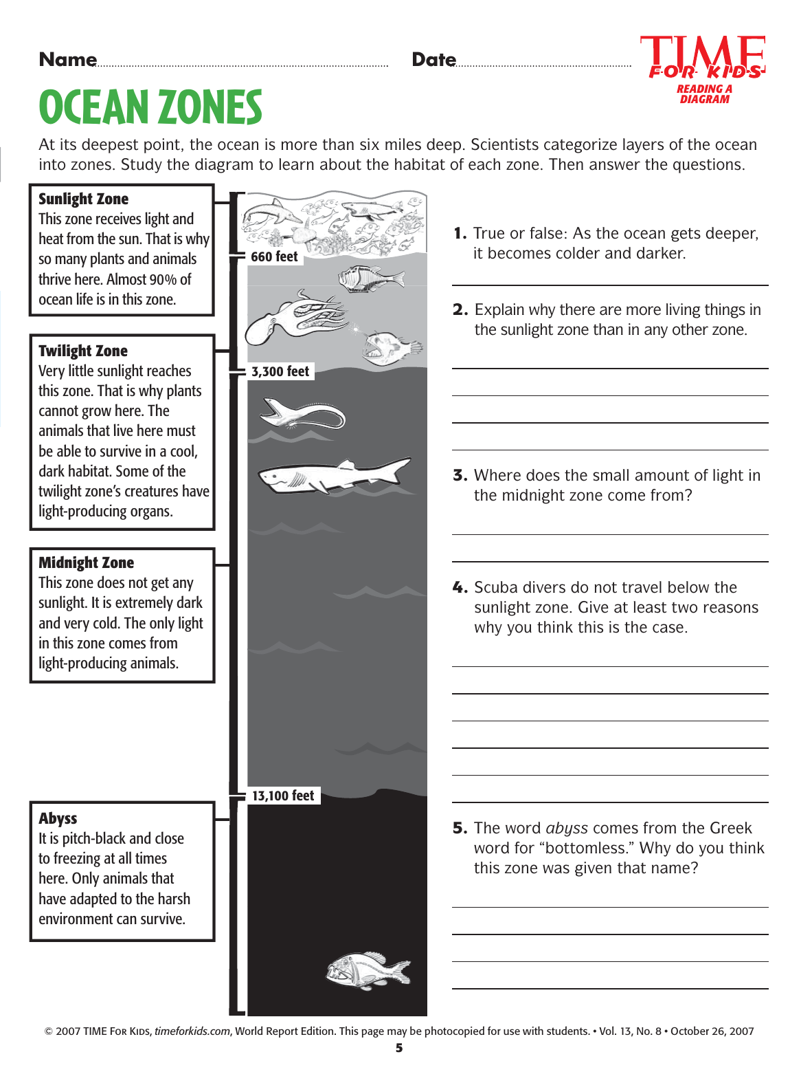 Ocean Zones Worksheet Exploring Marine Habitats