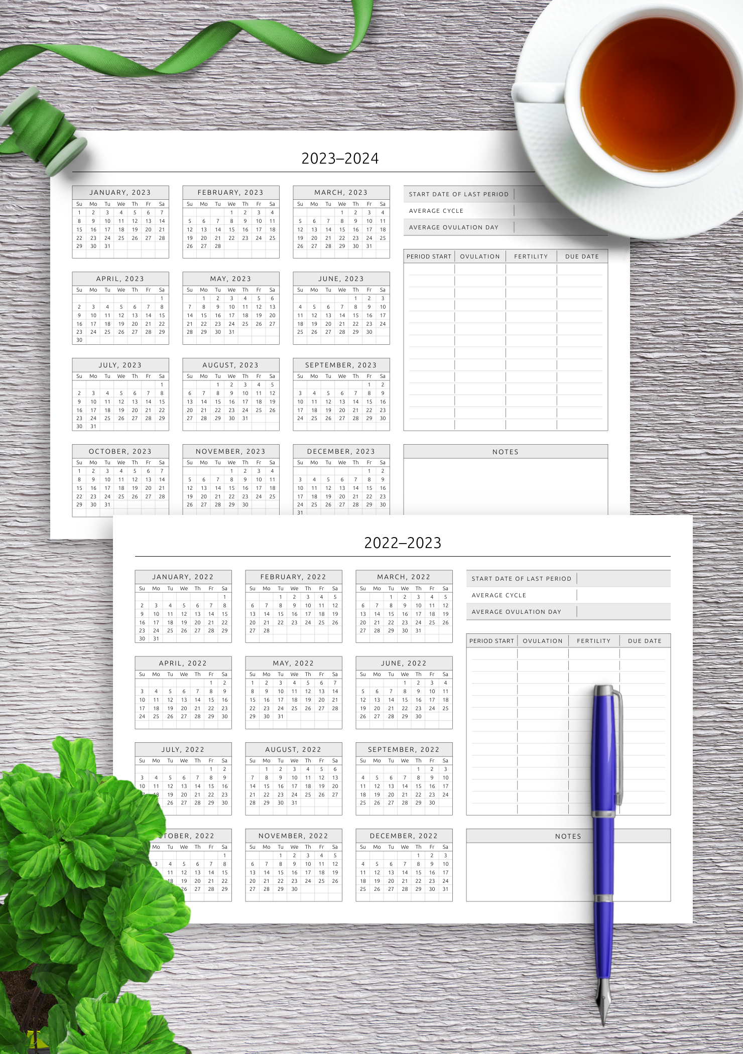 Blank Printable Ovulation Chart