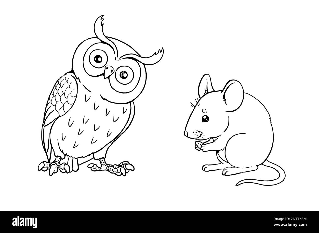 Owl Mouse Black And White Stock Photos Images Alamy