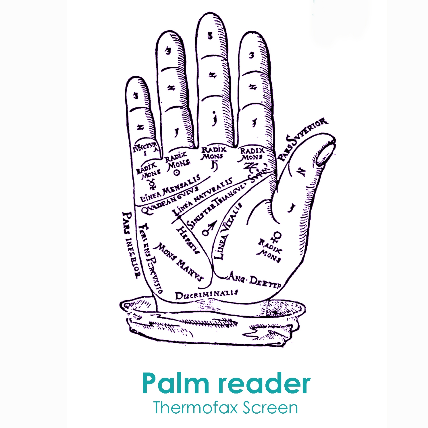 Palm Reading Chart Thermofax Screen Judy Coates Perez