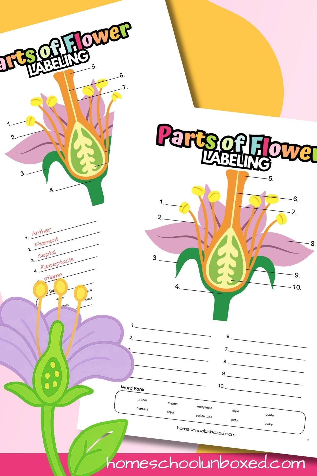 Printable Parts Of A Flower Worksheet Printable Parts Of A Flower Worksheet