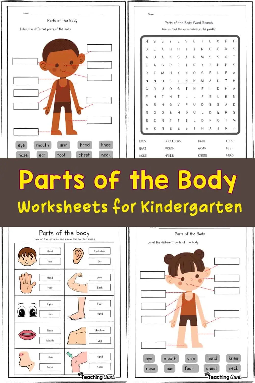 Parts Of The Body Worksheets The Teaching Aunt Parts Of The Body Worksheets The Teaching Aunt