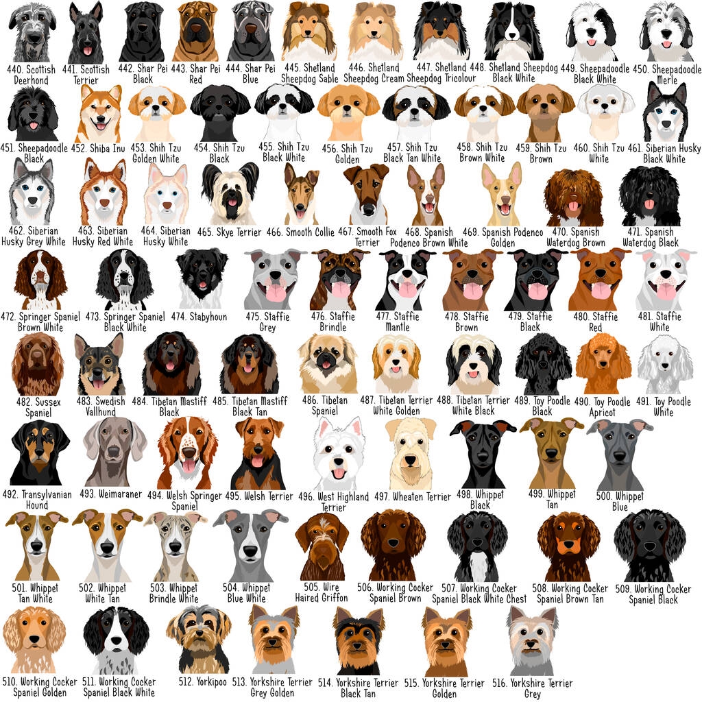 Pdf Akc Breed Chart Puppy Data Sheet Form Fill Online Printable Fillable Blank