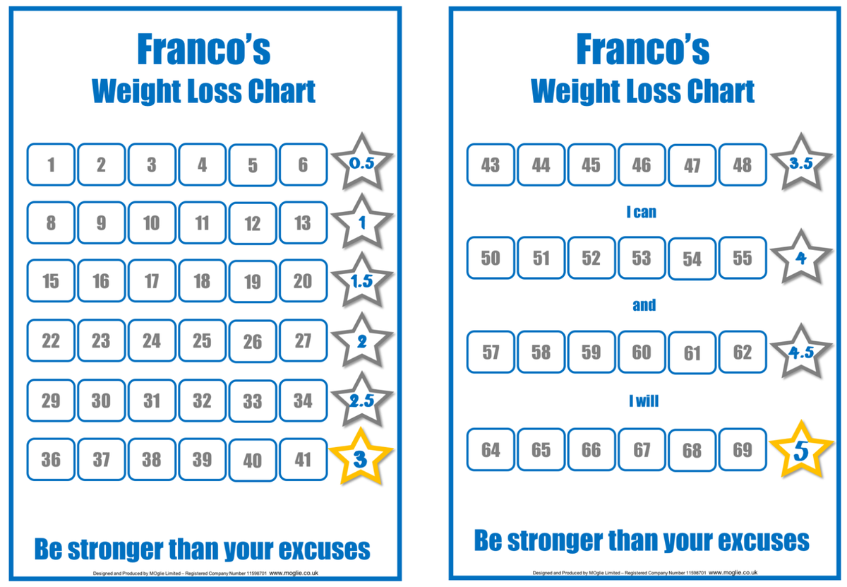 Personalised Weight Loss Chart Tracker Weight Watchers Diet M From 1 To 8 Stone EBay