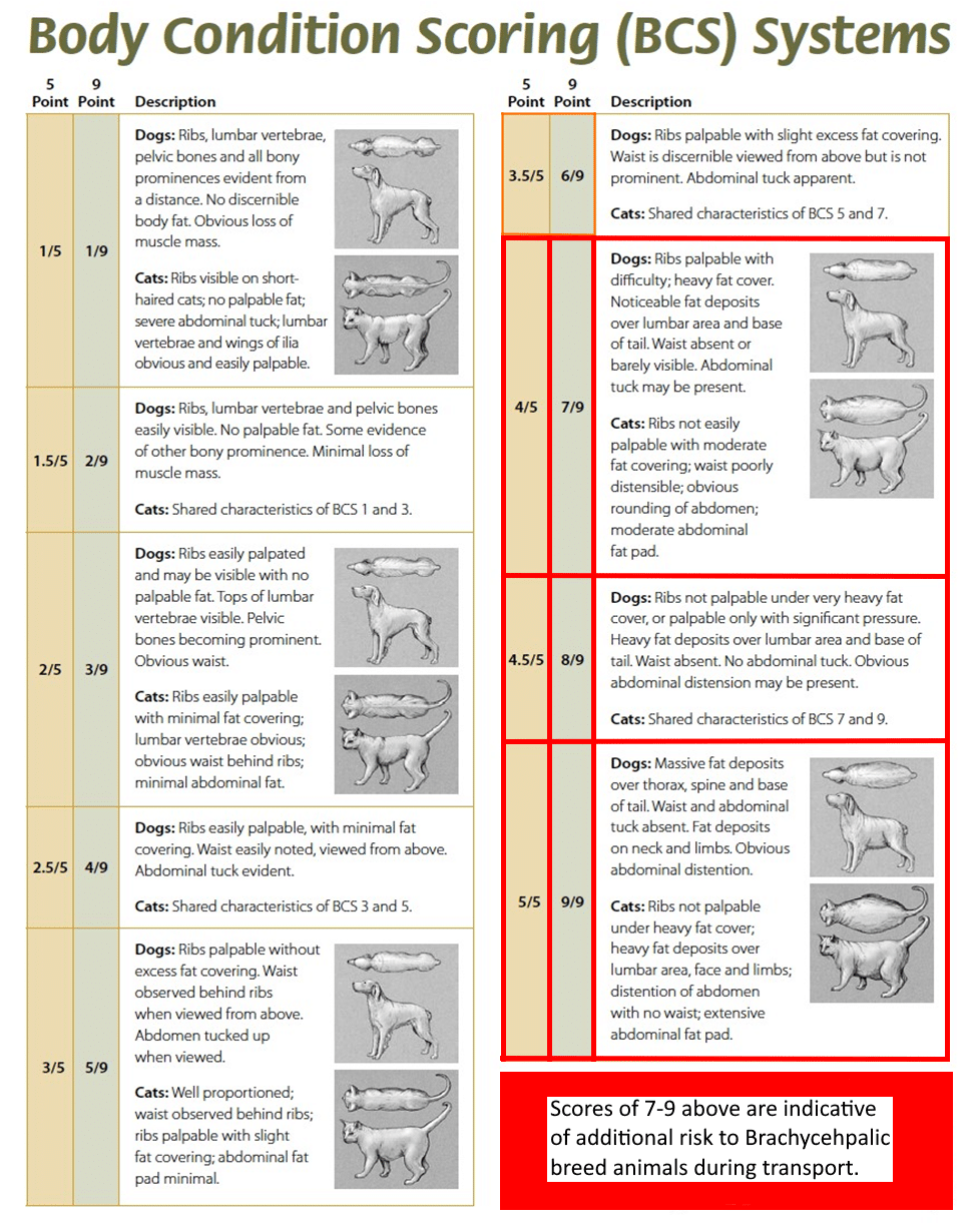 Printable Dog Body Condition Score Chart