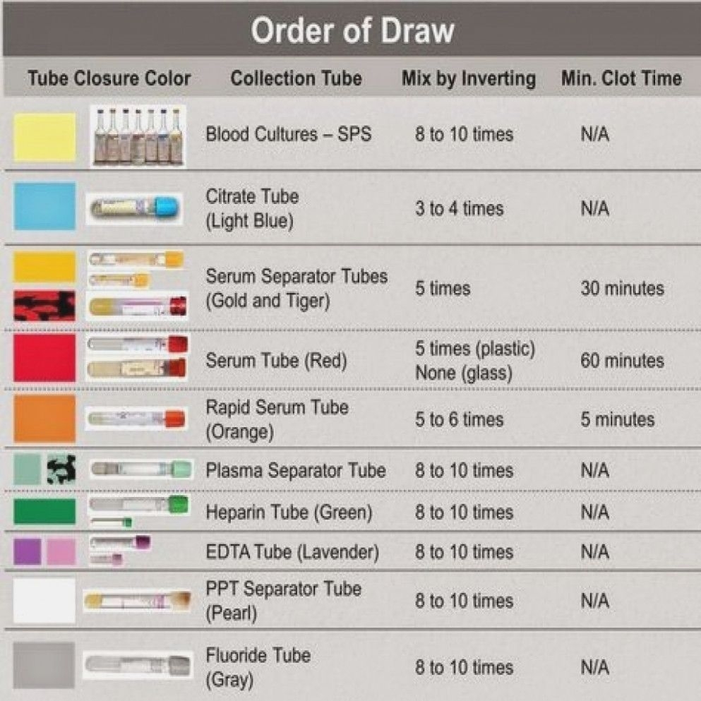 Phlebotomy Chart Order Of Draw Badge Card Scrub Pocket