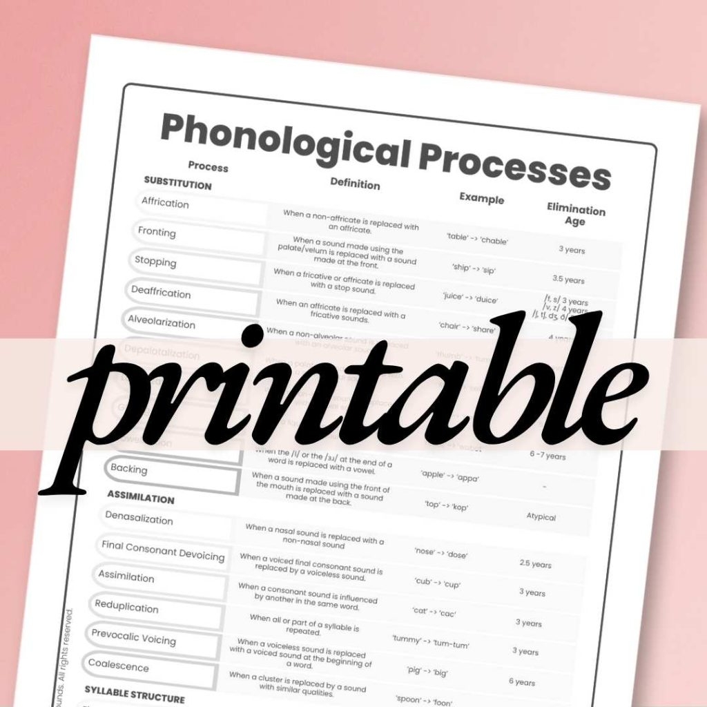 Phonological Processes Chart PDF