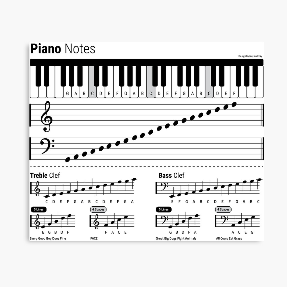 Piano Notes Piano Cheat Sheet Piano Grand Staff Treble Clef And Bass Clef Music Notes Music Notes Chart Piano Mnemonic Piano Class Poster For Sale By DesignPapery Redbubble