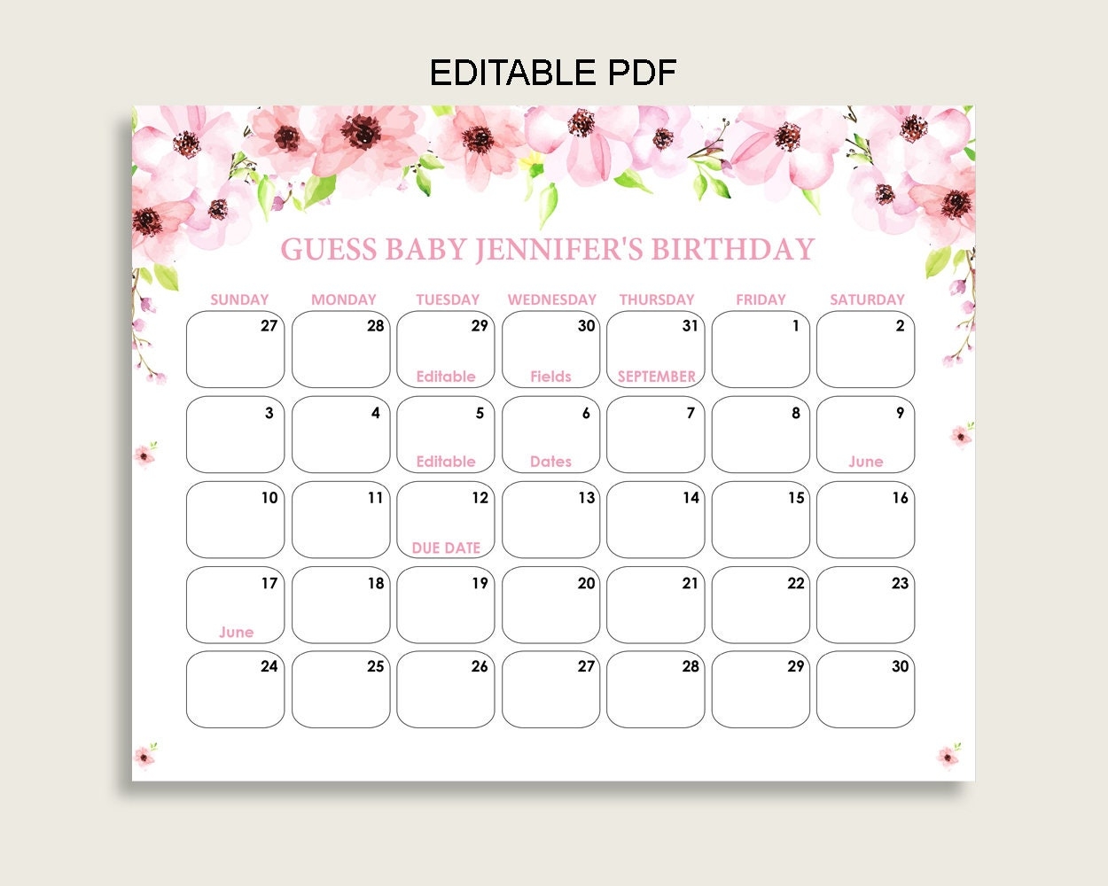 Printable Guess The Due Date Calendar