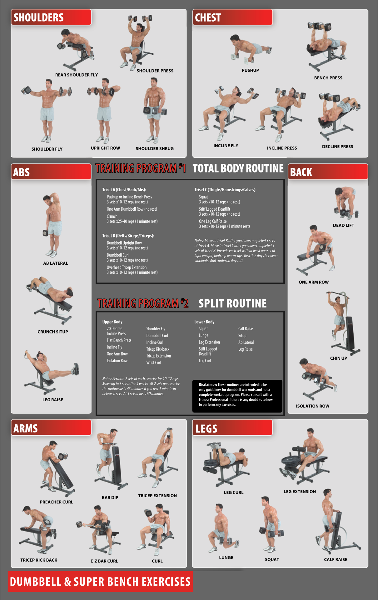 Pro Gym Workout Schedule Chart Gym Bench Workouts Workout Chart Whole Body Gym Workout