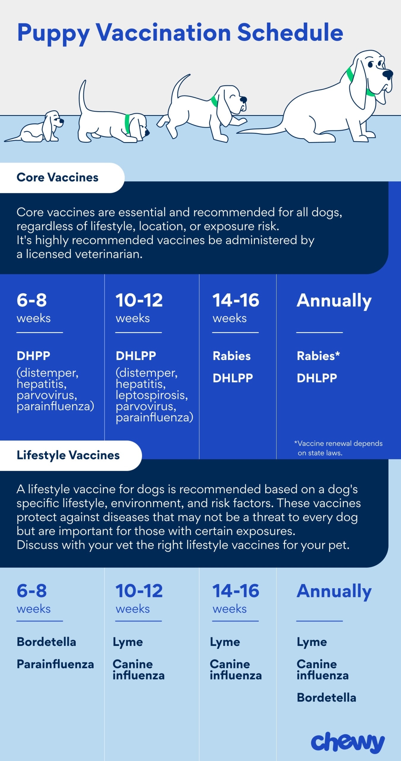 Puppy Vaccine Schedule A Guide To Puppy Shots Chewy