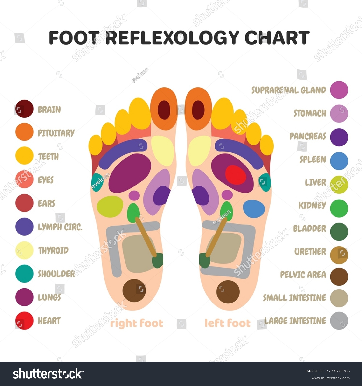 Printable Acupressure Points Chart Printable Acupressure Points Chart