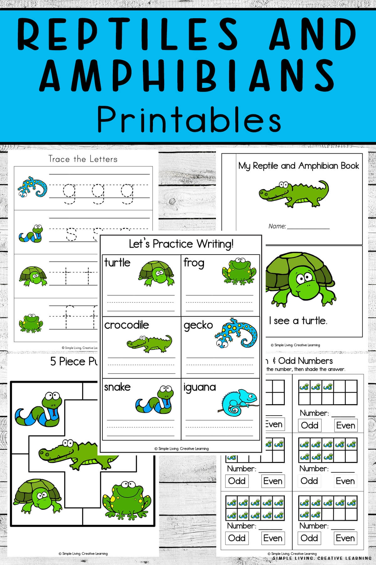 Free Printable Amphibian Worksheets