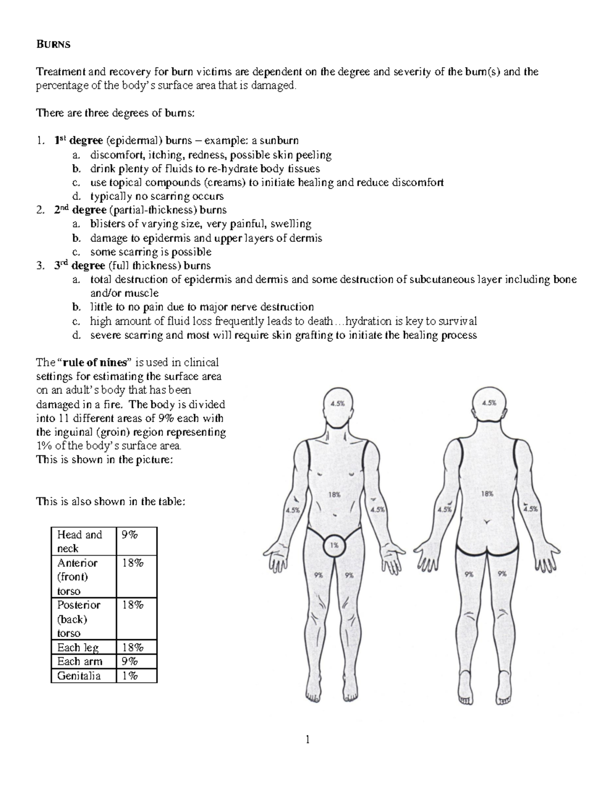 Rule Of Nines Burns Assessment Worksheet For Clinical Application Studocu