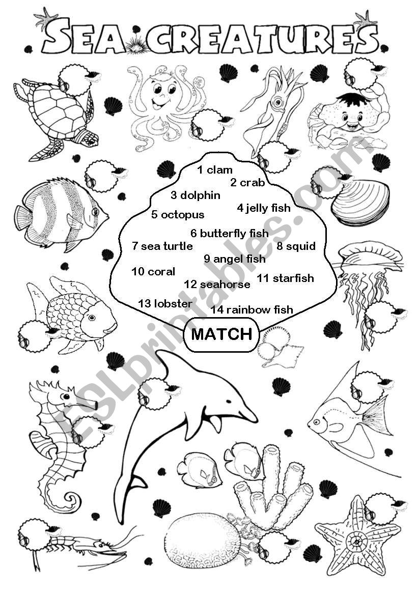 Sea Creatures ESL Worksheet By Gabitza