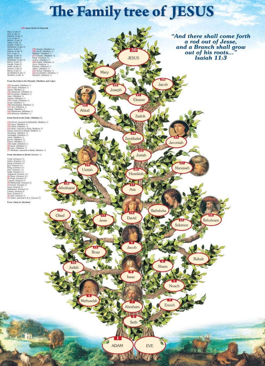 Shop The Family Tree Of Jesus Poster Printed In The Holy Land The Jerusalem Gift Shop