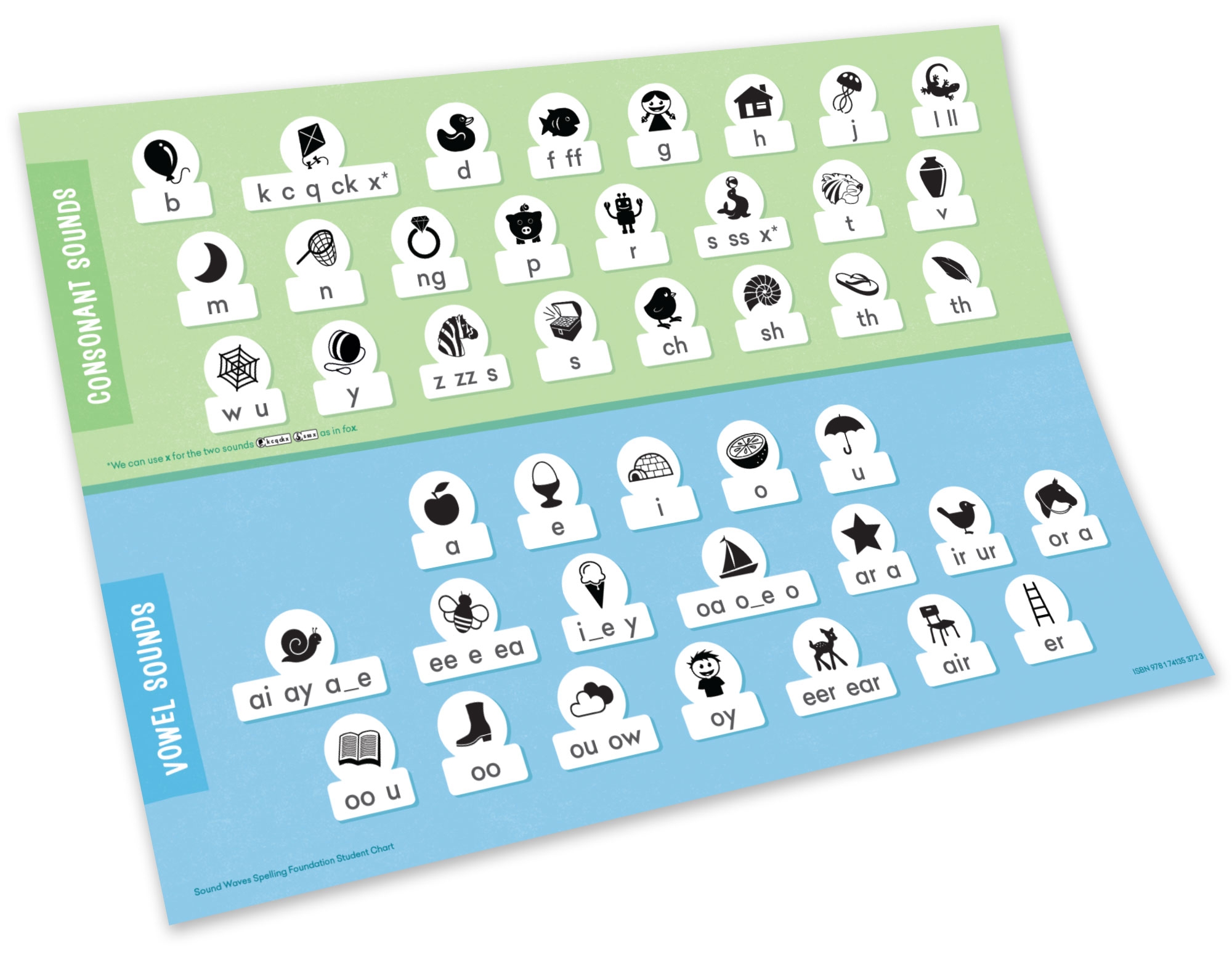 Sound Waves Foundation Student Chart Firefly Education Store