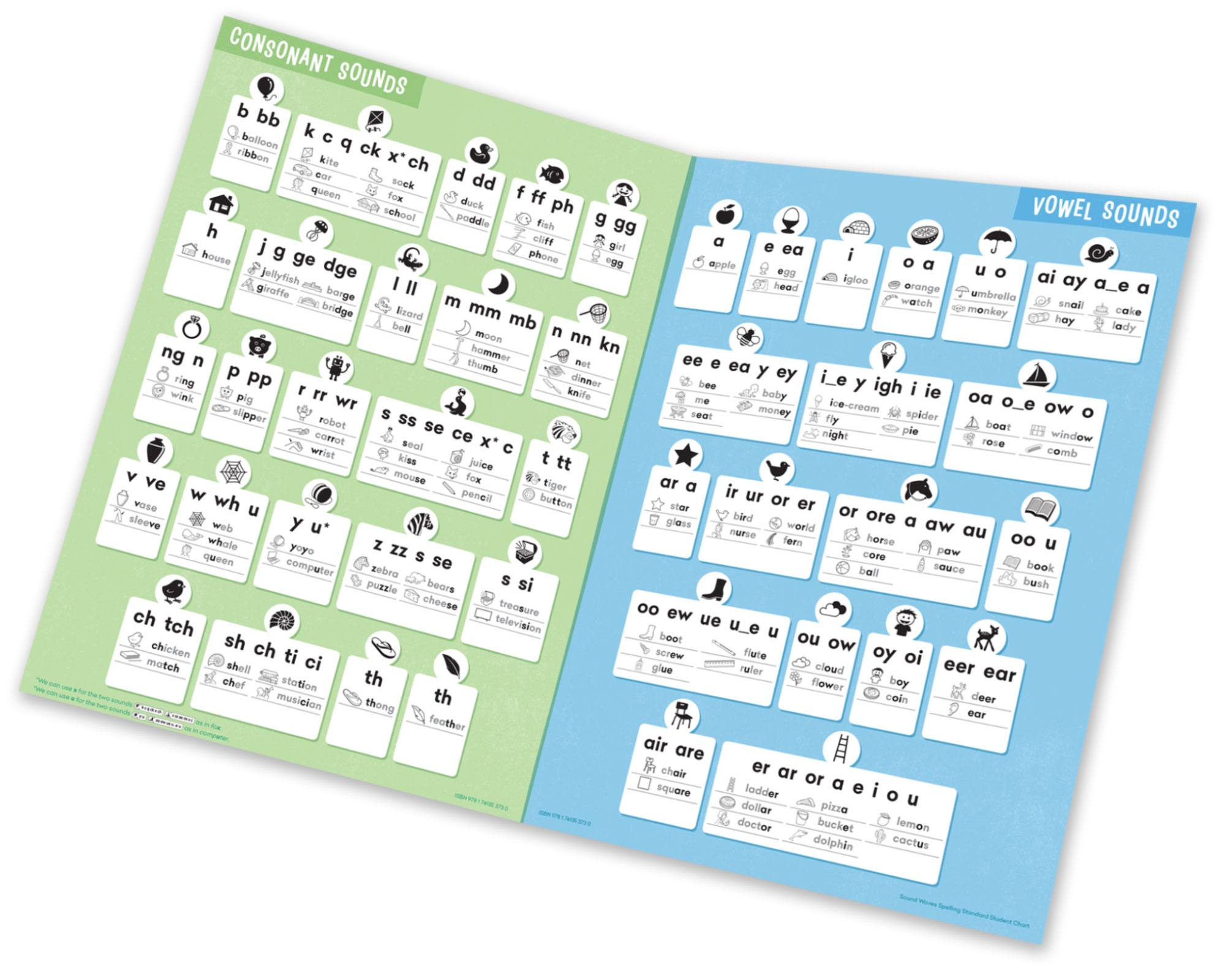 Sound Waves Standard Student Chart Firefly Education Store