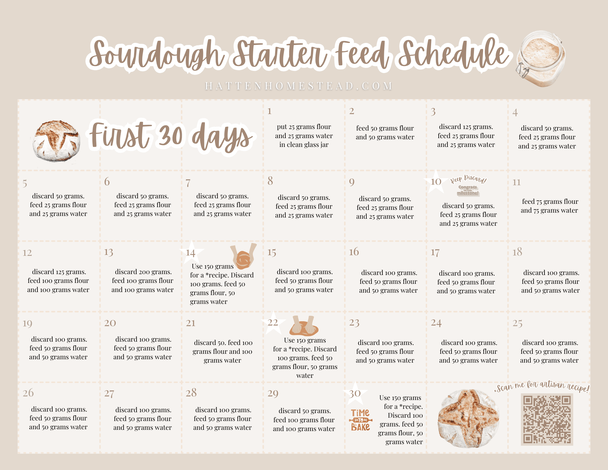 Sourdough For Dummies Glossary Included Hatten Homestead