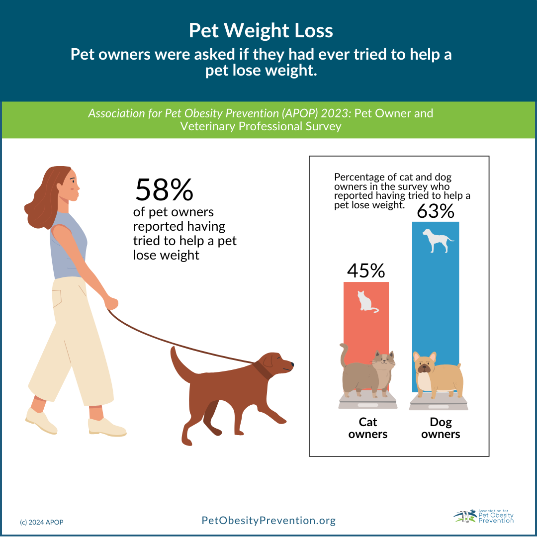 Survey Reveals Pet Owners Don t Recognize Excess Weight Struggle With Pet Weight Loss And Give Lots Of Dog Treats Association For Pet Obesity Prevention Survey Reveals Pet Owners Don t Recognize Excess Weight Struggle With Pet Weight Loss And Give Lots Of Dog Treats Association For Pet Obesity Prevention