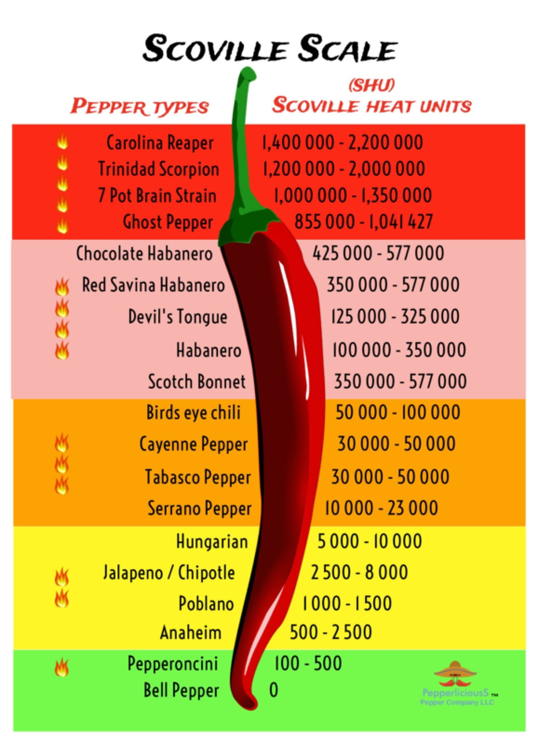 Takis Scolvo Scale Printable Scoville Scale Pepper X Heat Scale Hot Chili Pepper