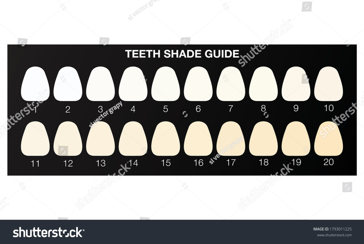 Teeth Whitening Shade Guide Dental Colour Stock Vector Royalty Free 1793011225 Shutterstock