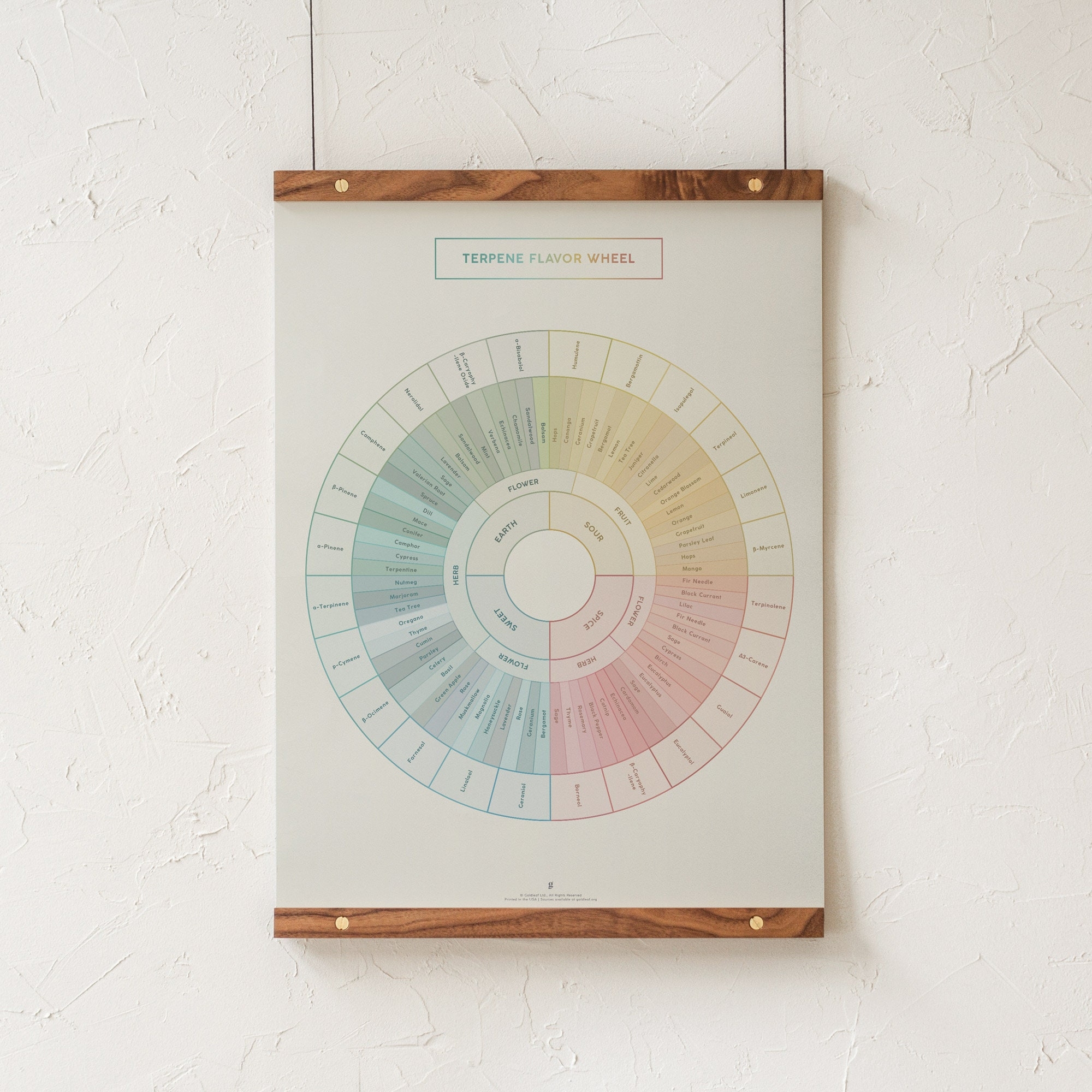 Terpene Flavor Wheel Diagram Chart Of Terpene Aroma Print Cannabis Terpene Poster Educational Poster And Dispensary Decor By Goldleaf Etsy