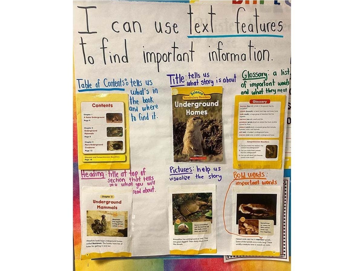 Text Feature Anchor Chart Ideas Hands on Activities Students Love Teach Starter Text Feature Anchor Chart Ideas Hands on Activities Students Love Teach Starter