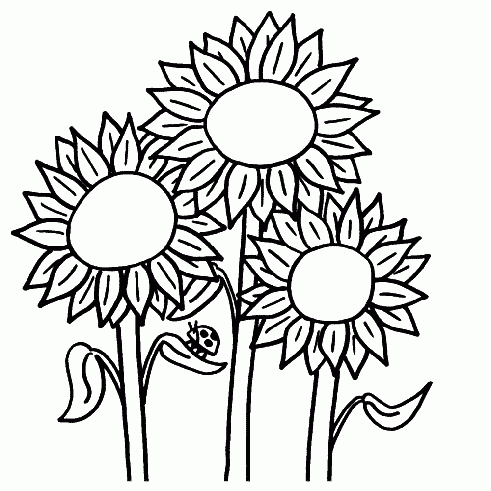 Thousands Of Printable Coloring Pages Books 100 FREE 