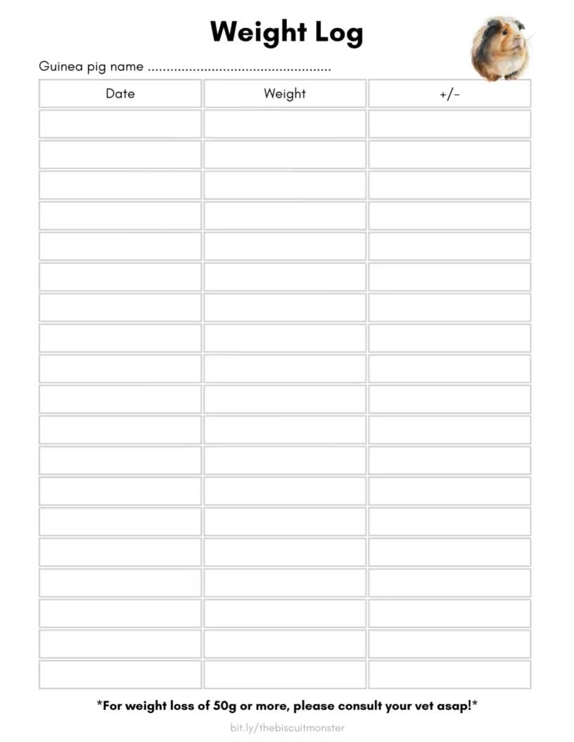 To Human Years Pig Weight Chart 12 Week Old Guinea Pig Guinea Pig Planner Printable Guinea